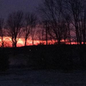 Meet your Posher, Steve